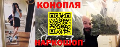 сатива Краснознаменск