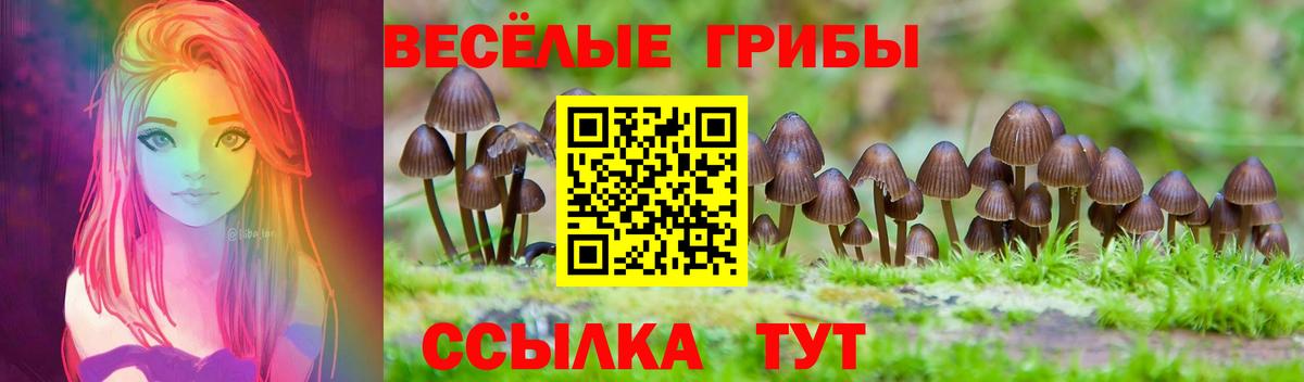 Галлюциногенные грибы MAGIC MUSHROOMS Ефремов